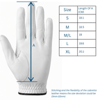 TruePutts Premium Golf Glove